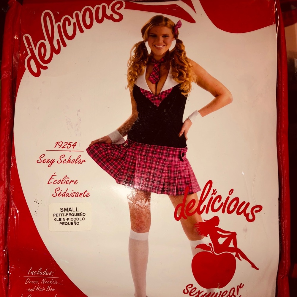 Sexy Scholar (school girl) Halloween Costume